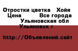 Отростки цветка  “Хойя“ › Цена ­ 300 - Все города  »    . Ульяновская обл.,Ульяновск г.
